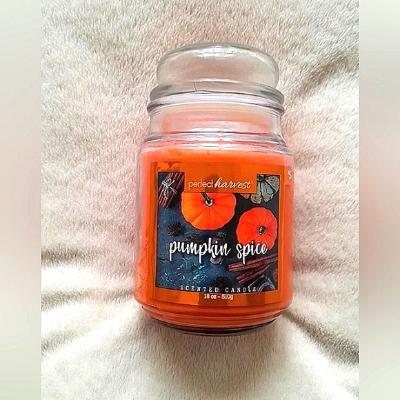 Perfect Harvest Other - Perfect Harvest Pumpkin Spice Scented Candle 18oz